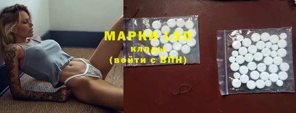 винт Аркадак