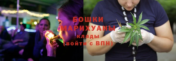 спиды Арсеньев
