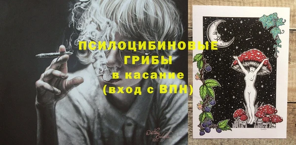 винт Аркадак