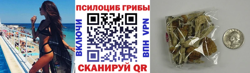 Галлюциногенные грибы GOLDEN TEACHER  Приозерск 